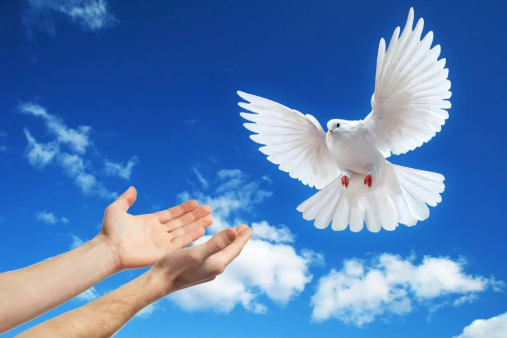 Peace and Trust in Asia - essential conditions for sustainable development