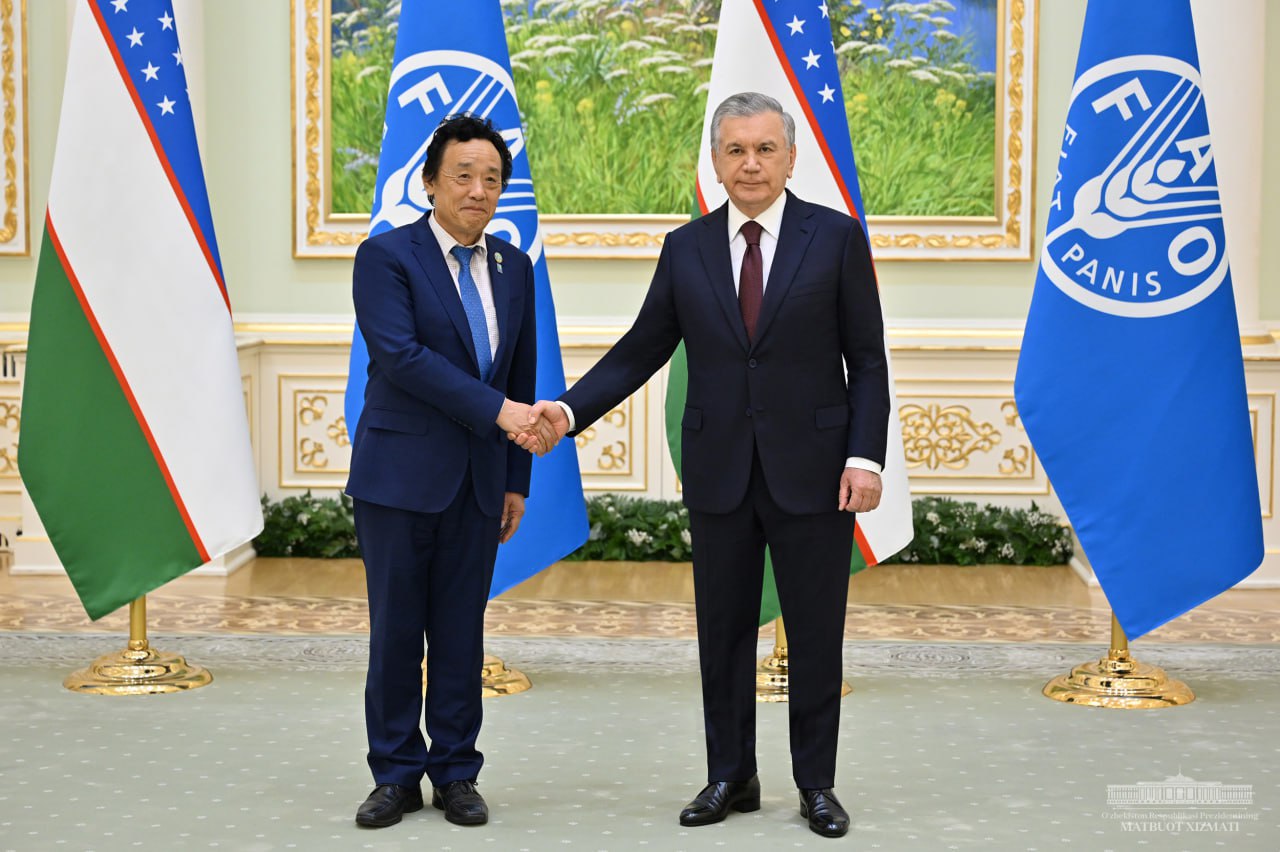 The President of Uzbekistan noted the importance of adopting a long-term program of strategic partnership with FAO